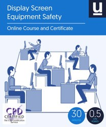 Display Screen Equipment Safety book cover
