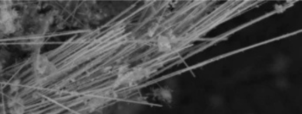Amphibole asbestos Amphibole asbestos