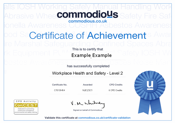 Level 2 certificate health and safety