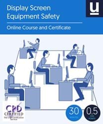 Display Screen Equipment Safety book cover
